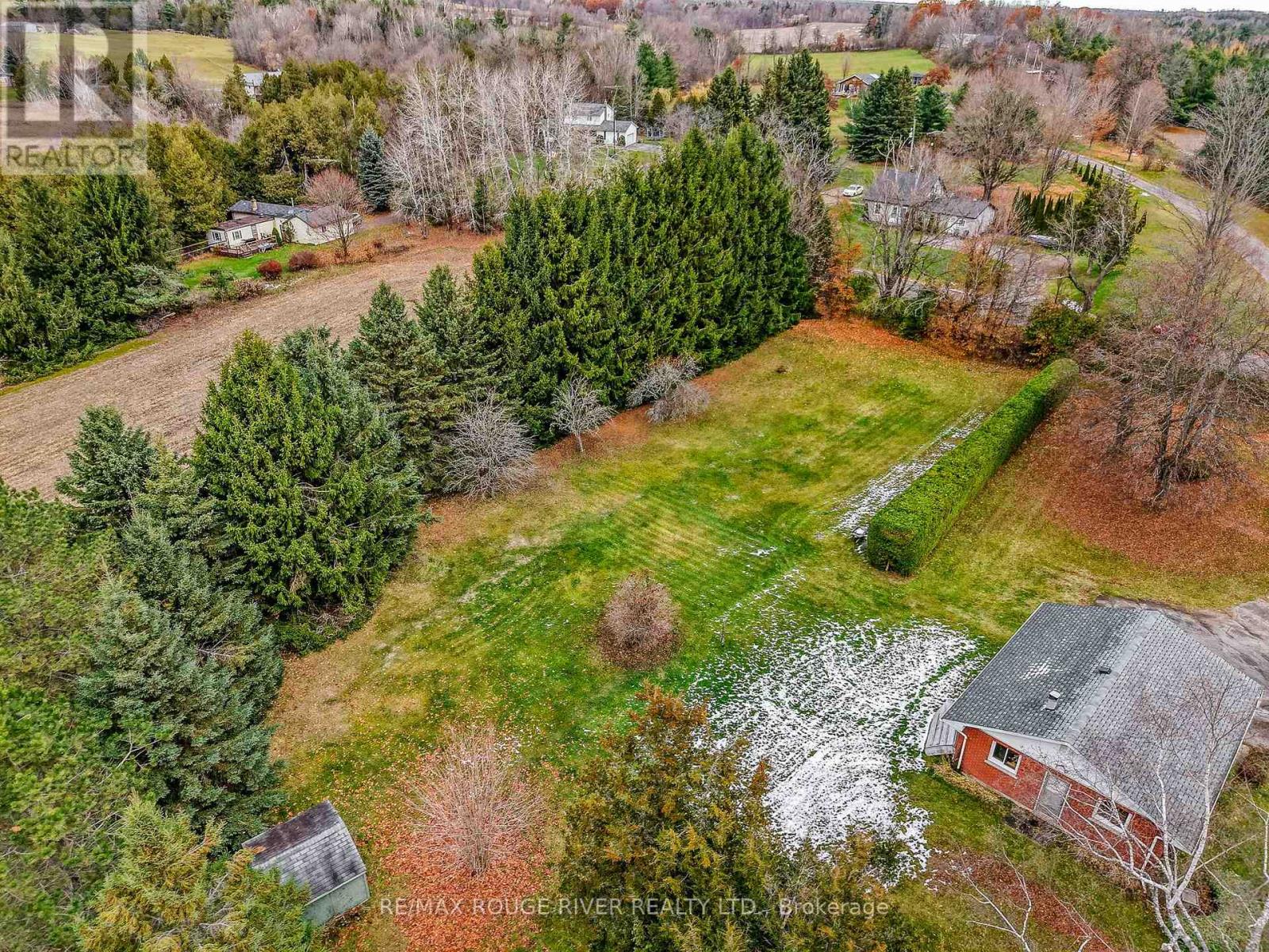 132 Earl Road, Alnwick/haldimand, Ontario  K0K 1C0 - Photo 43 - X12584952