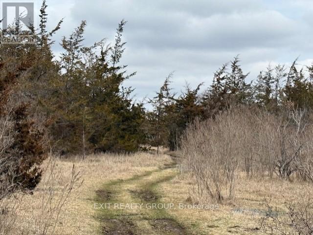 1047 Lazier Road, Tyendinaga, Ontario  K0K 3A0 - Photo 42 - X12589368