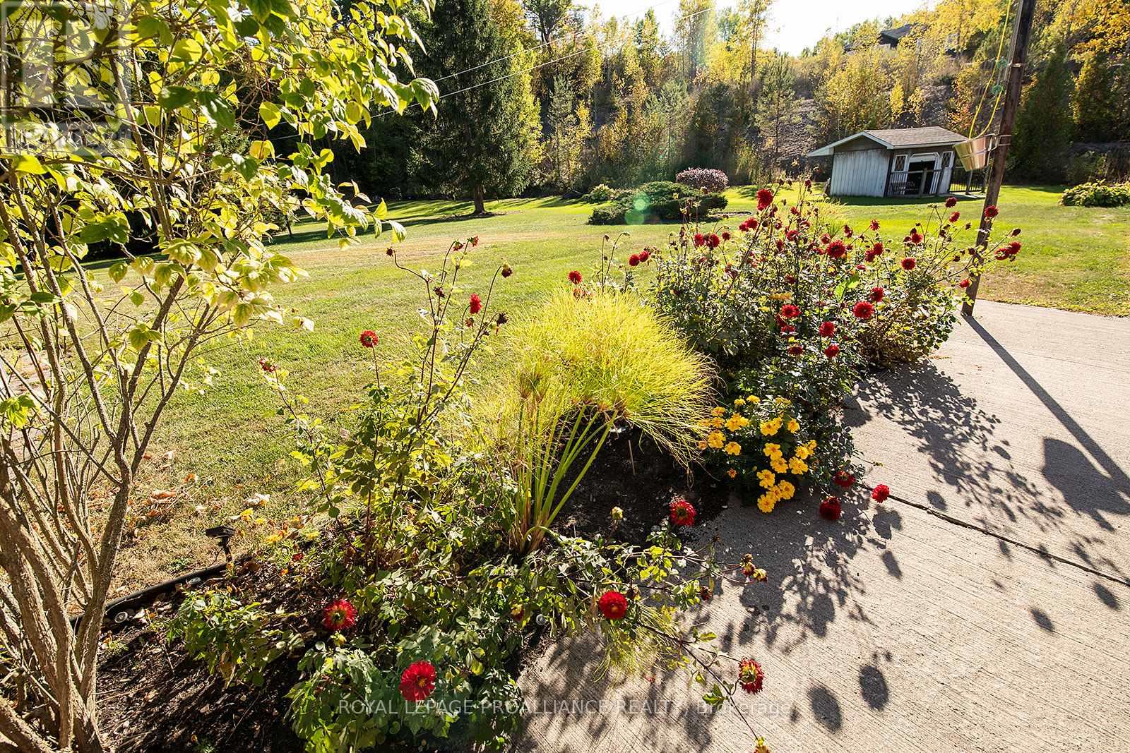 31 Nobes Road, Quinte West, Ontario  K0K 2C0 - Photo 34 - X12604198