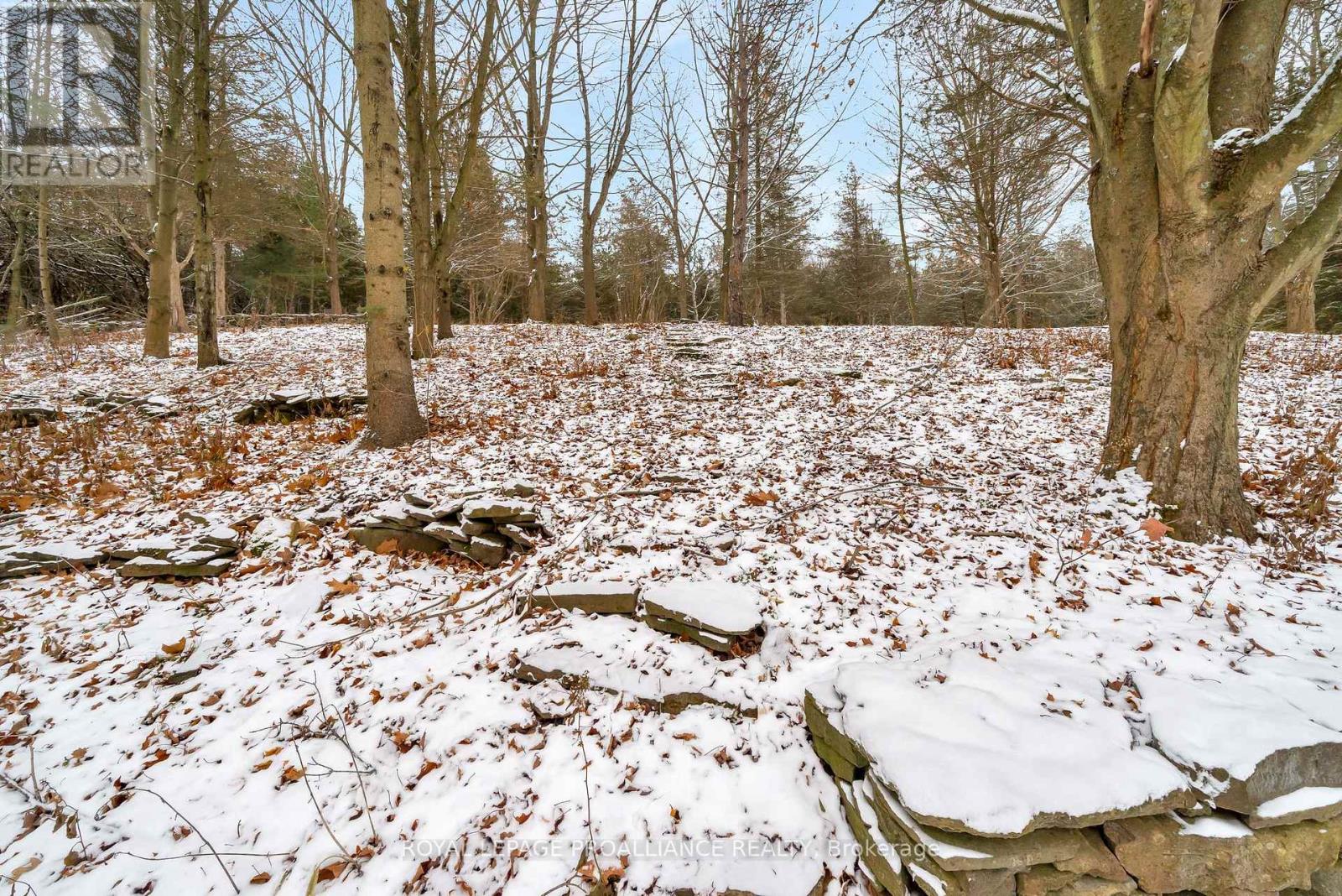 1237 Victoria Road, Prince Edward County, Ontario  K0K 1A0 - Photo 38 - X12604910