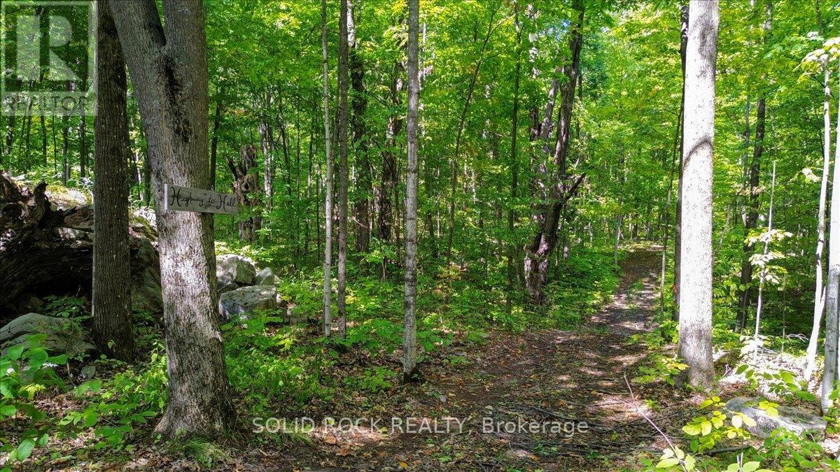 400 Pigden Road, Madoc, Ontario  K0K 2K0 - Photo 43 - X12611576