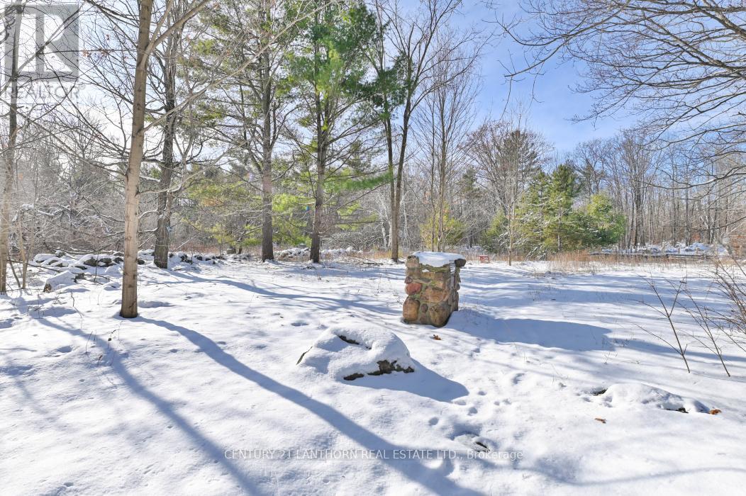 337 Jarvis Road, Madoc, Ontario  K0K 2K0 - Photo 36 - X12616360