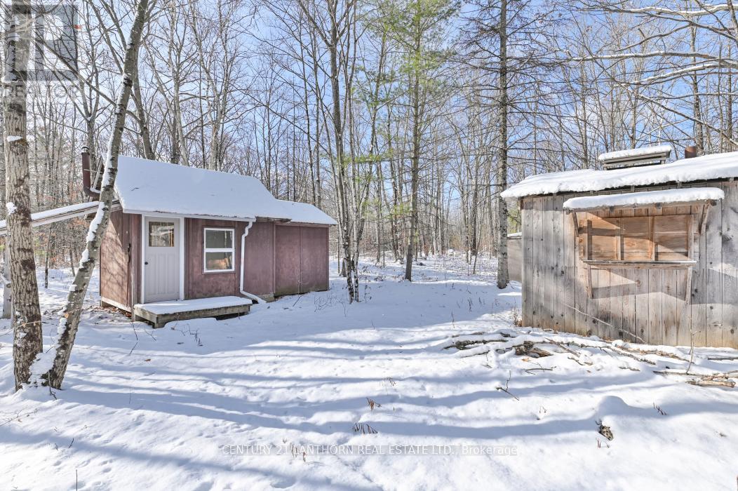 337 Jarvis Road, Madoc, Ontario  K0K 2K0 - Photo 40 - X12616360