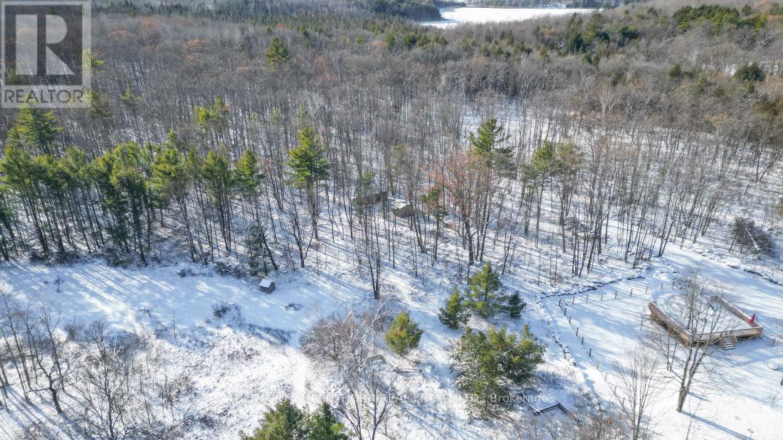 337 Jarvis Road, Madoc, Ontario  K0K 2K0 - Photo 49 - X12616360