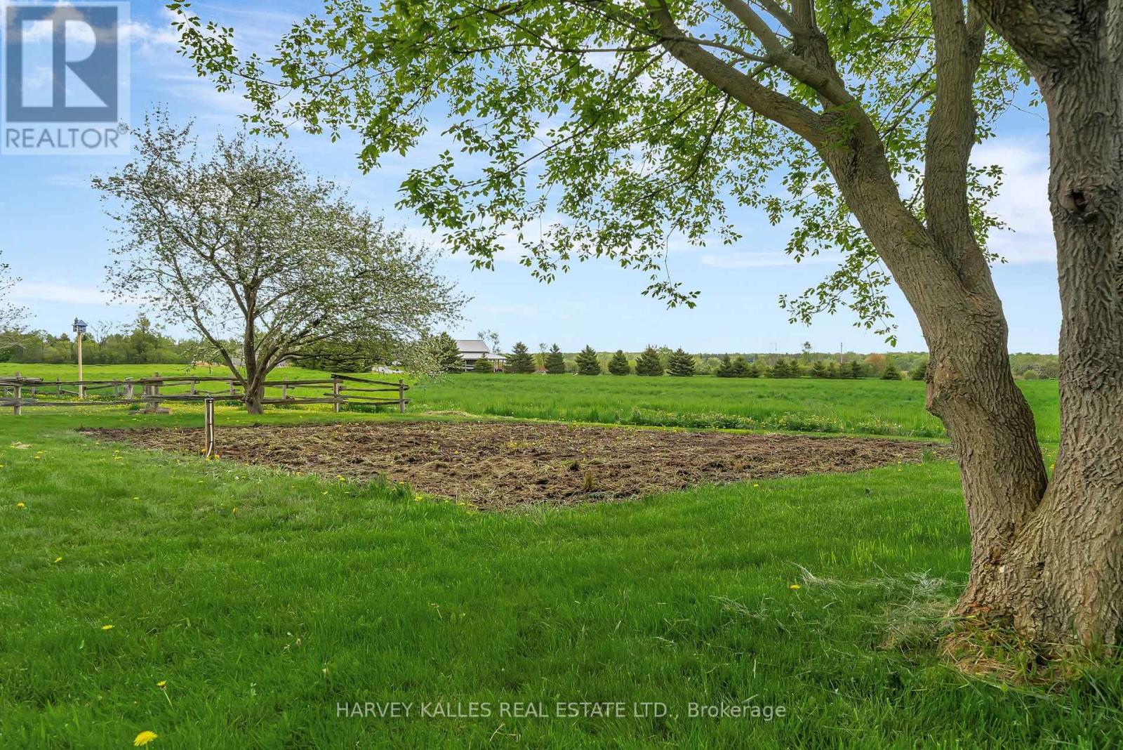 13965 Loyalist Parkway, Prince Edward County, Ontario  K0K 2T0 - Photo 33 - X12635328