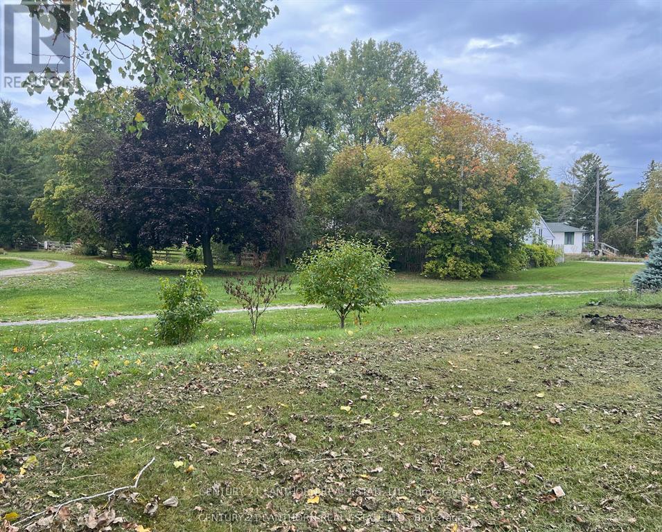 87-89 Scott Avenue, Quinte West, Ontario  K0K 2C0 - Photo 15 - X12657372