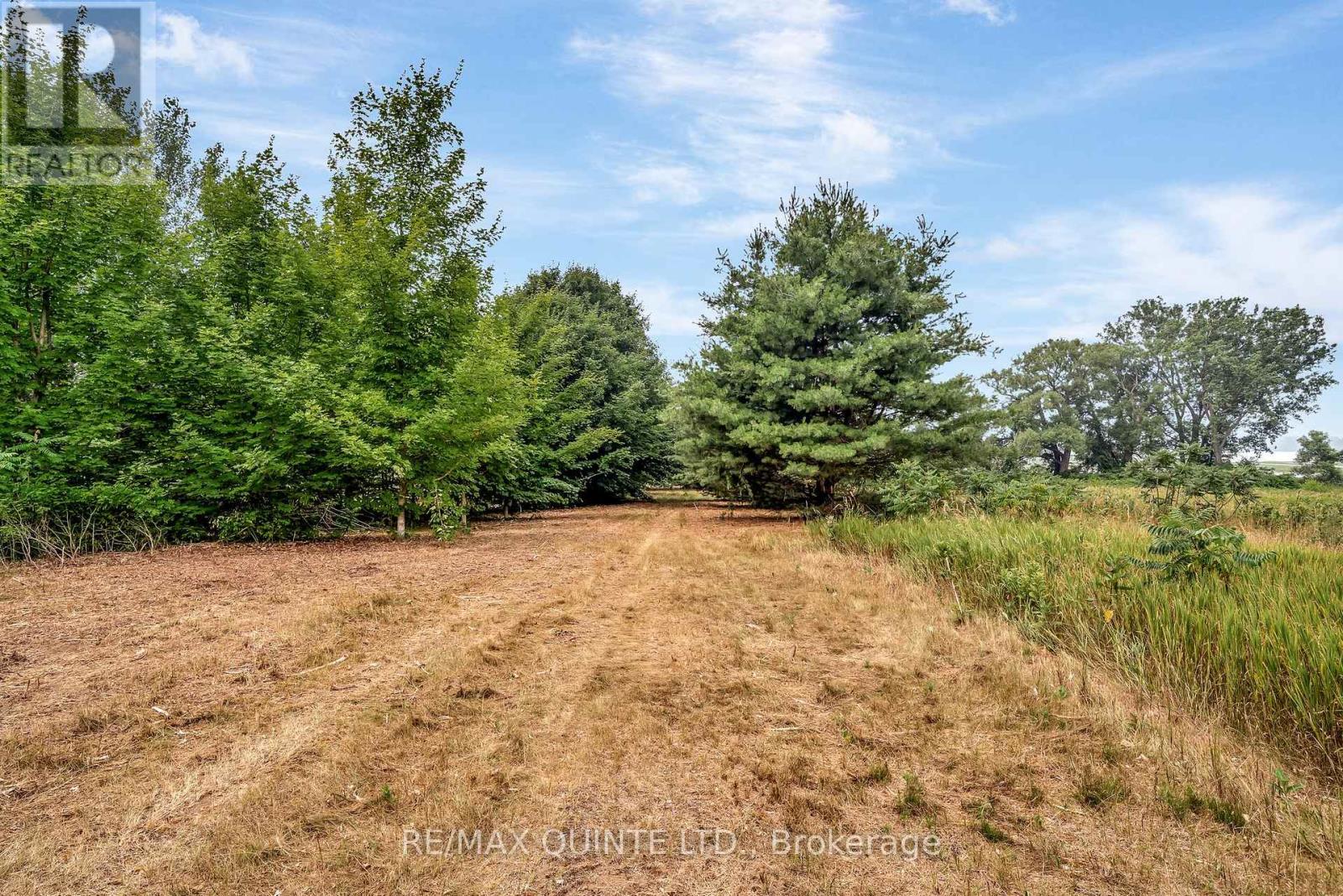 1462 County Road 12, Prince Edward County, Ontario  K0K 2T0 - Photo 35 - X12686406