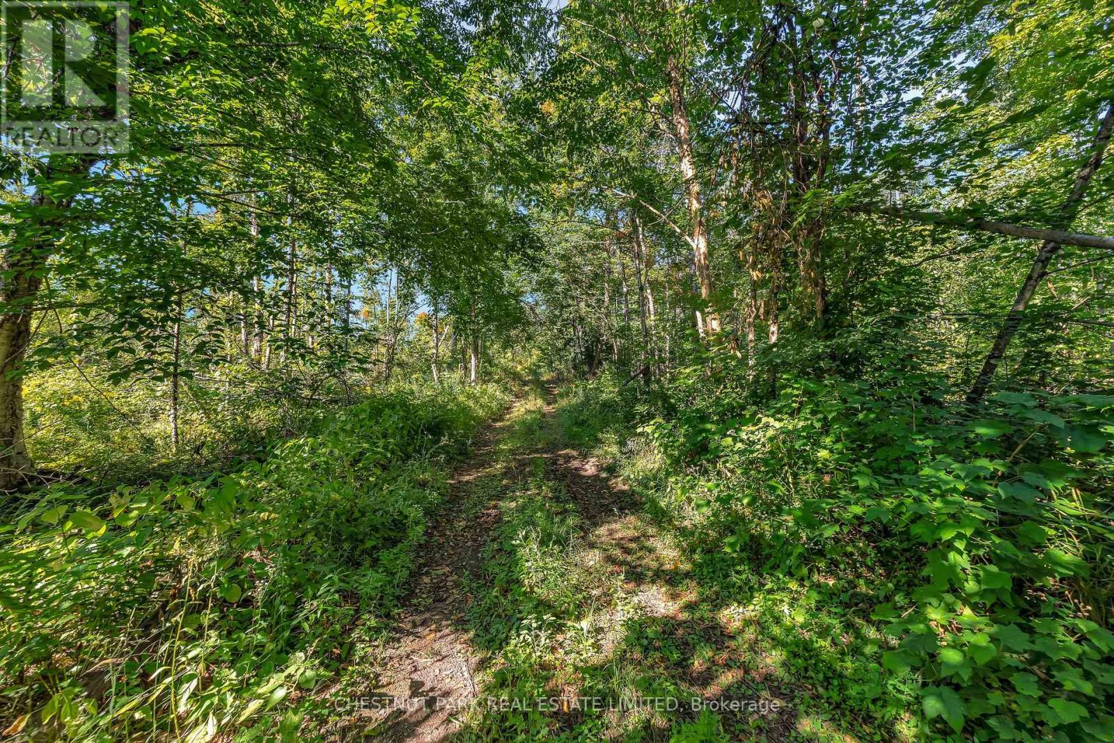 682 Felbers Road, Tudor And Cashel, Ontario  K0K 1Y0 - Photo 29 - X12687008