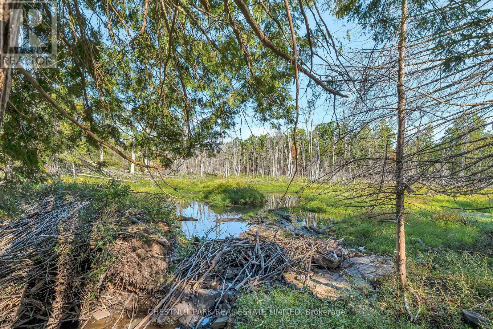 682 Felbers Road, Tudor And Cashel, Ontario  K0K 1Y0 - Photo 34 - X12687008