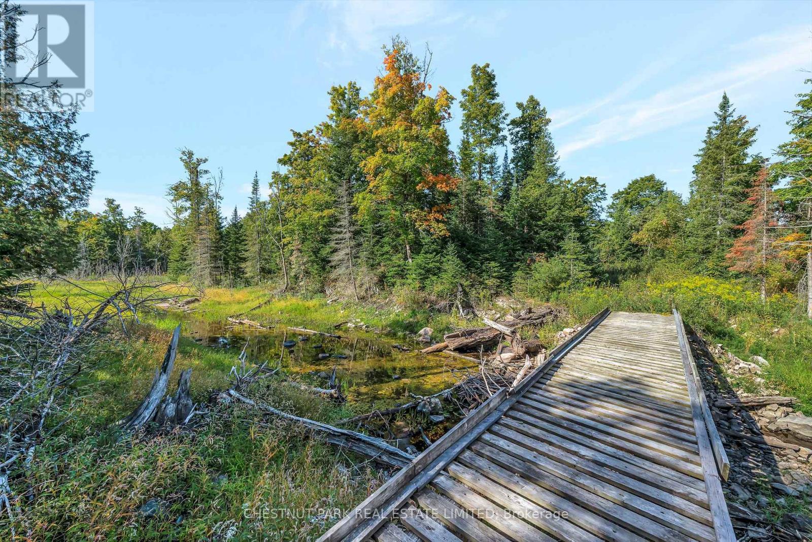 682 Felbers Road, Tudor And Cashel, Ontario  K0K 1Y0 - Photo 36 - X12687008