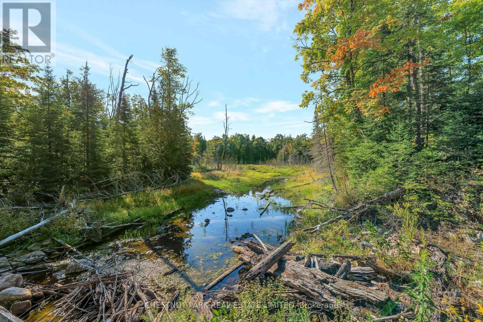 682 Felbers Road, Tudor And Cashel, Ontario  K0K 1Y0 - Photo 39 - X12687008