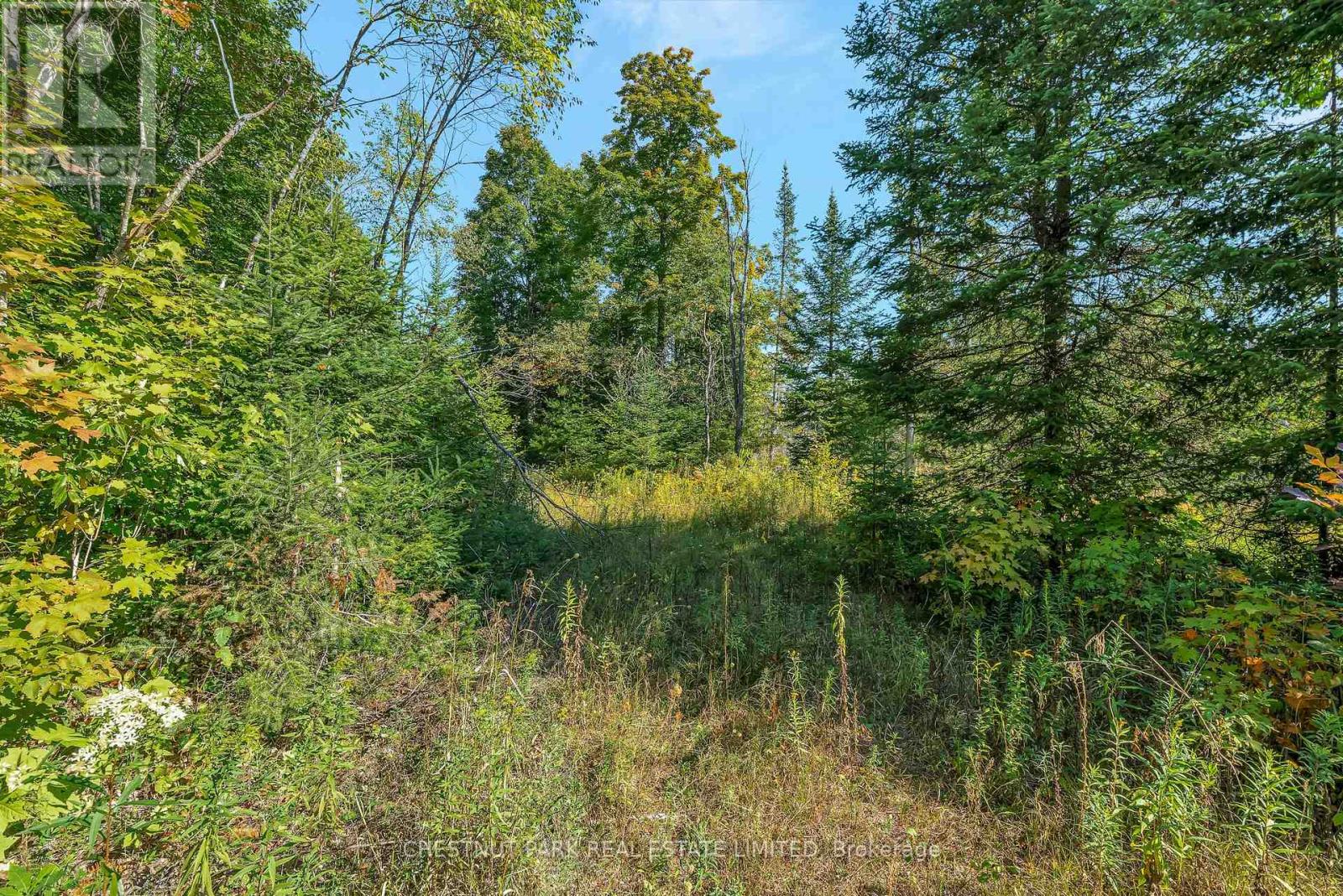 682 Felbers Road, Tudor And Cashel, Ontario  K0K 1Y0 - Photo 42 - X12687008