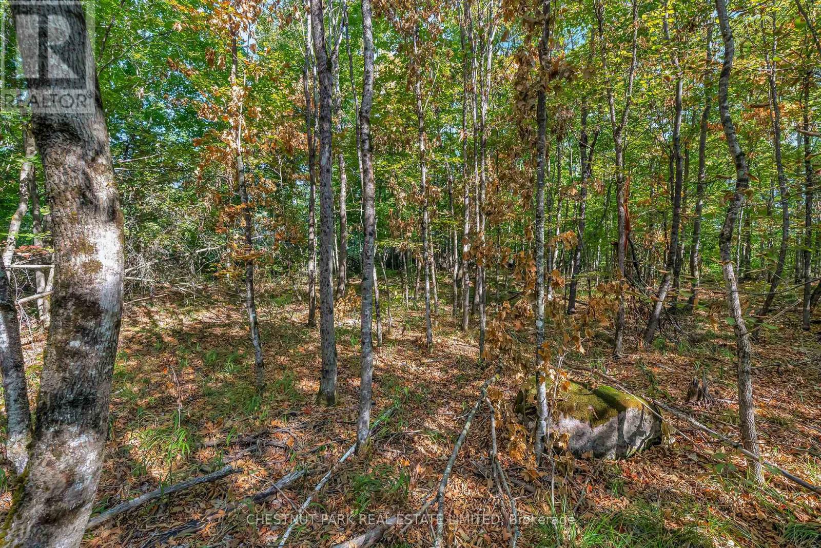 682 Felbers Road, Tudor And Cashel, Ontario  K0K 1Y0 - Photo 43 - X12687008