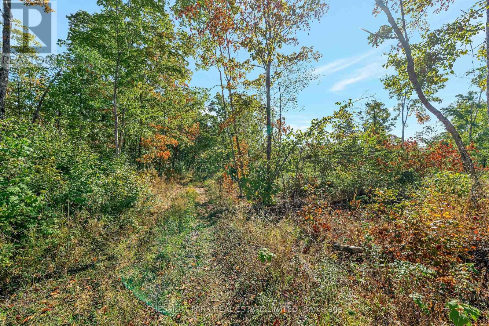 682 Felbers Road, Tudor And Cashel, Ontario  K0K 1Y0 - Photo 46 - X12687008