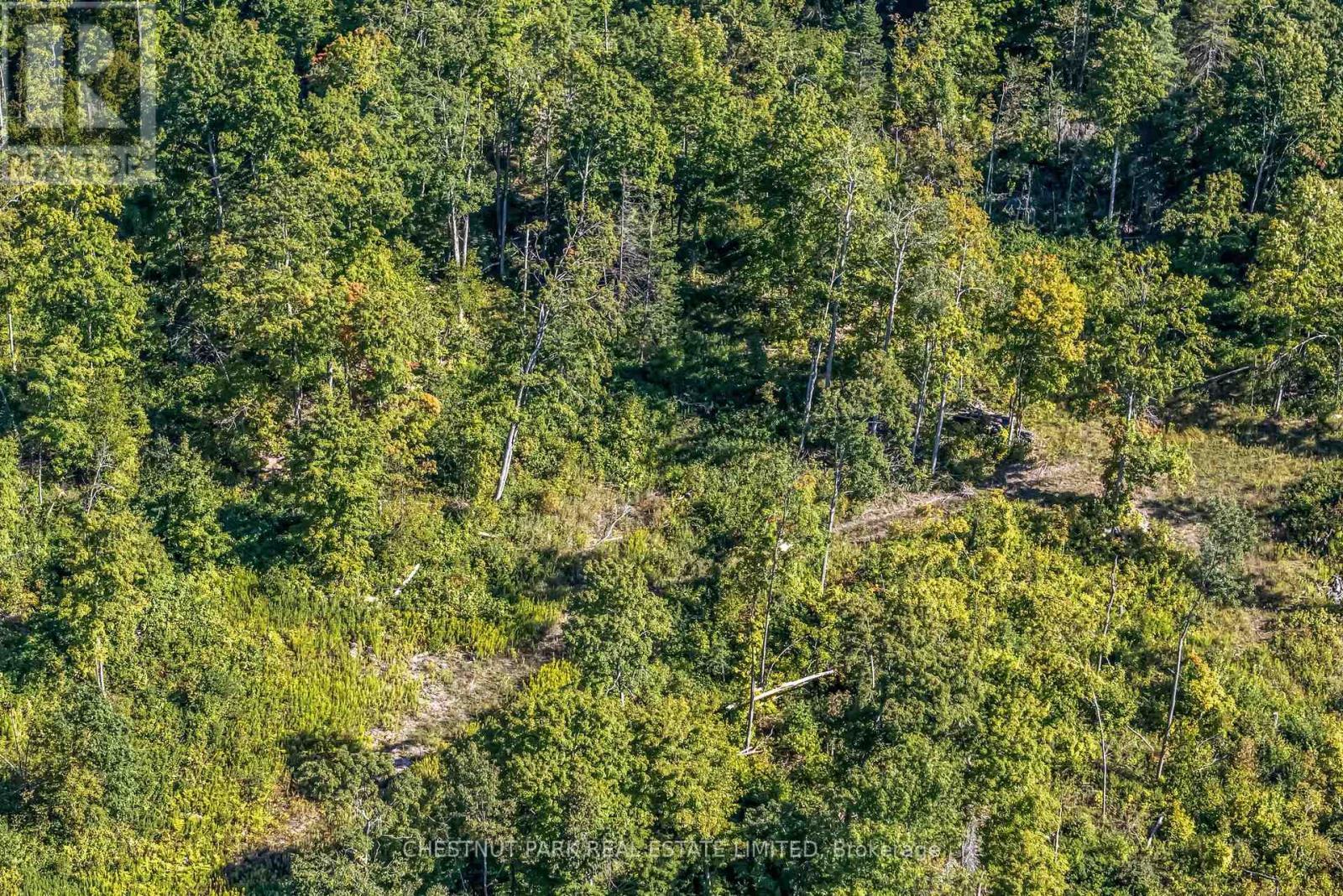 682 Felbers Road, Tudor And Cashel, Ontario  K0K 1Y0 - Photo 6 - X12687008