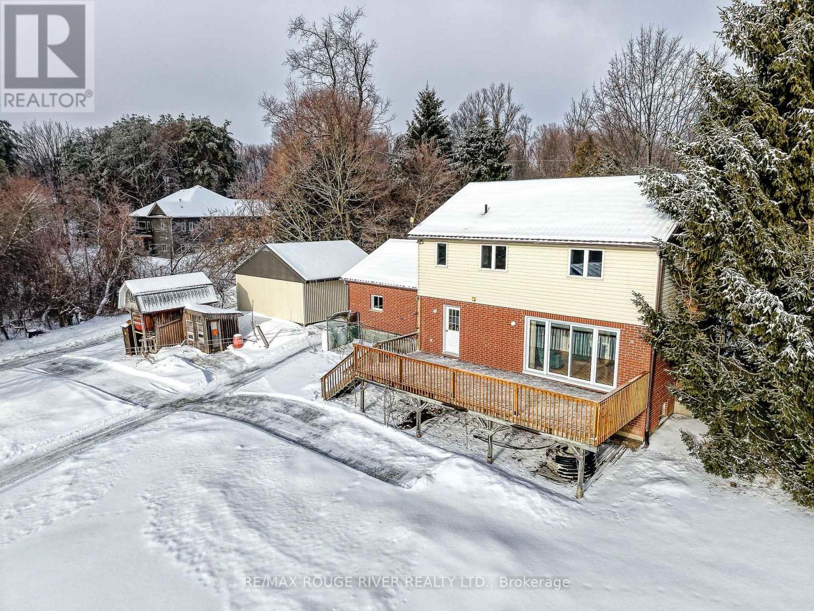 223 Turk Road, Alnwick/haldimand, Ontario  K0K 2G0 - Photo 36 - X12695284
