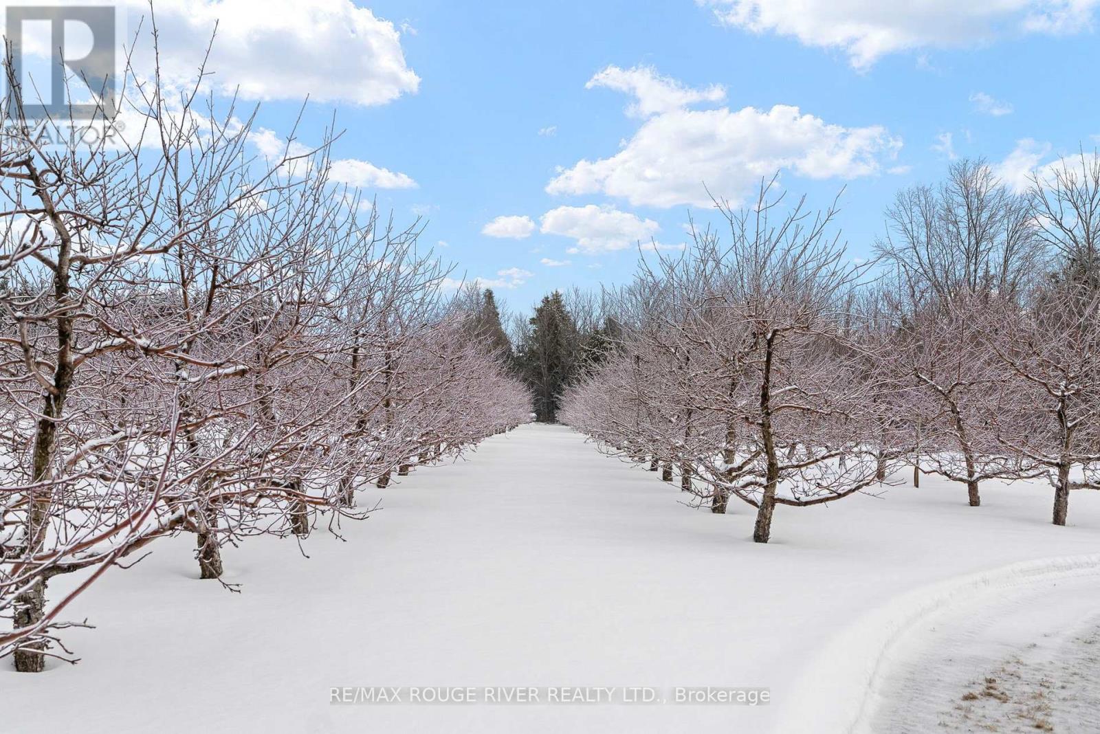 223 Turk Road, Alnwick/haldimand, Ontario  K0K 2G0 - Photo 37 - X12695284