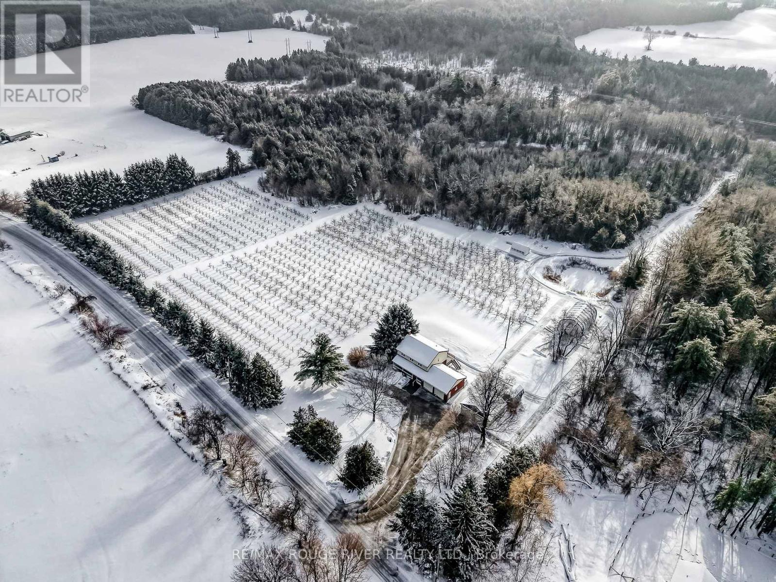 223 Turk Road, Alnwick/haldimand, Ontario  K0K 2G0 - Photo 39 - X12695284