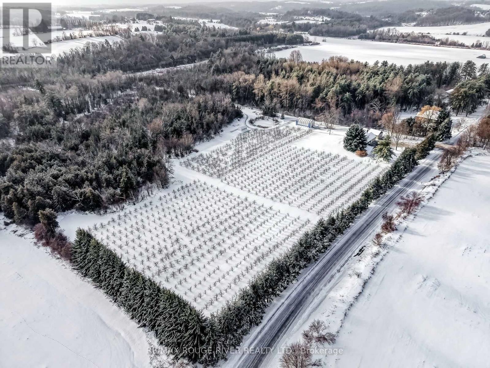 223 Turk Road, Alnwick/haldimand, Ontario  K0K 2G0 - Photo 40 - X12695284