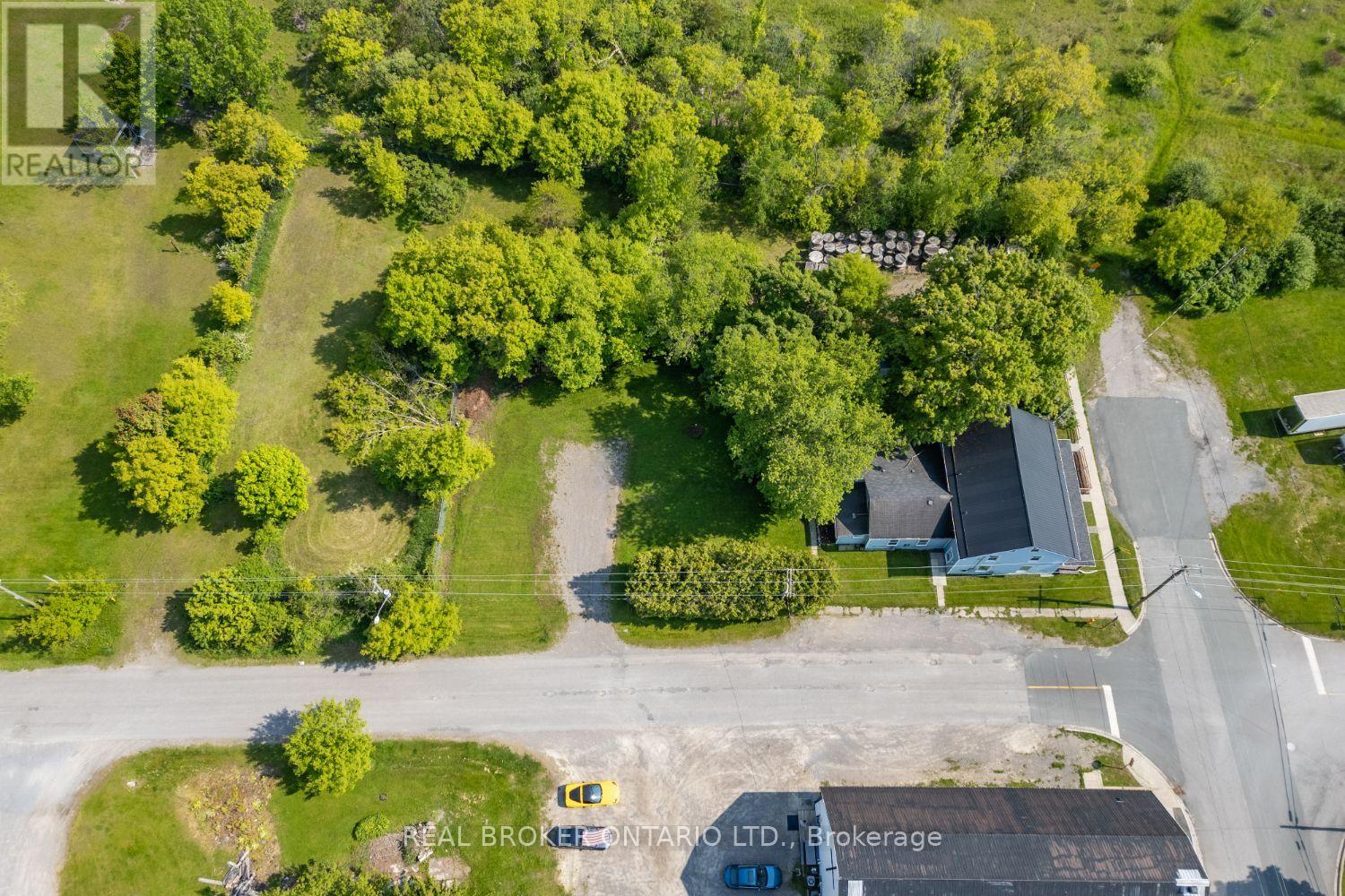 91 Division Street, Cramahe, Ontario  K0K 1S0 - Photo 4 - X12703506
