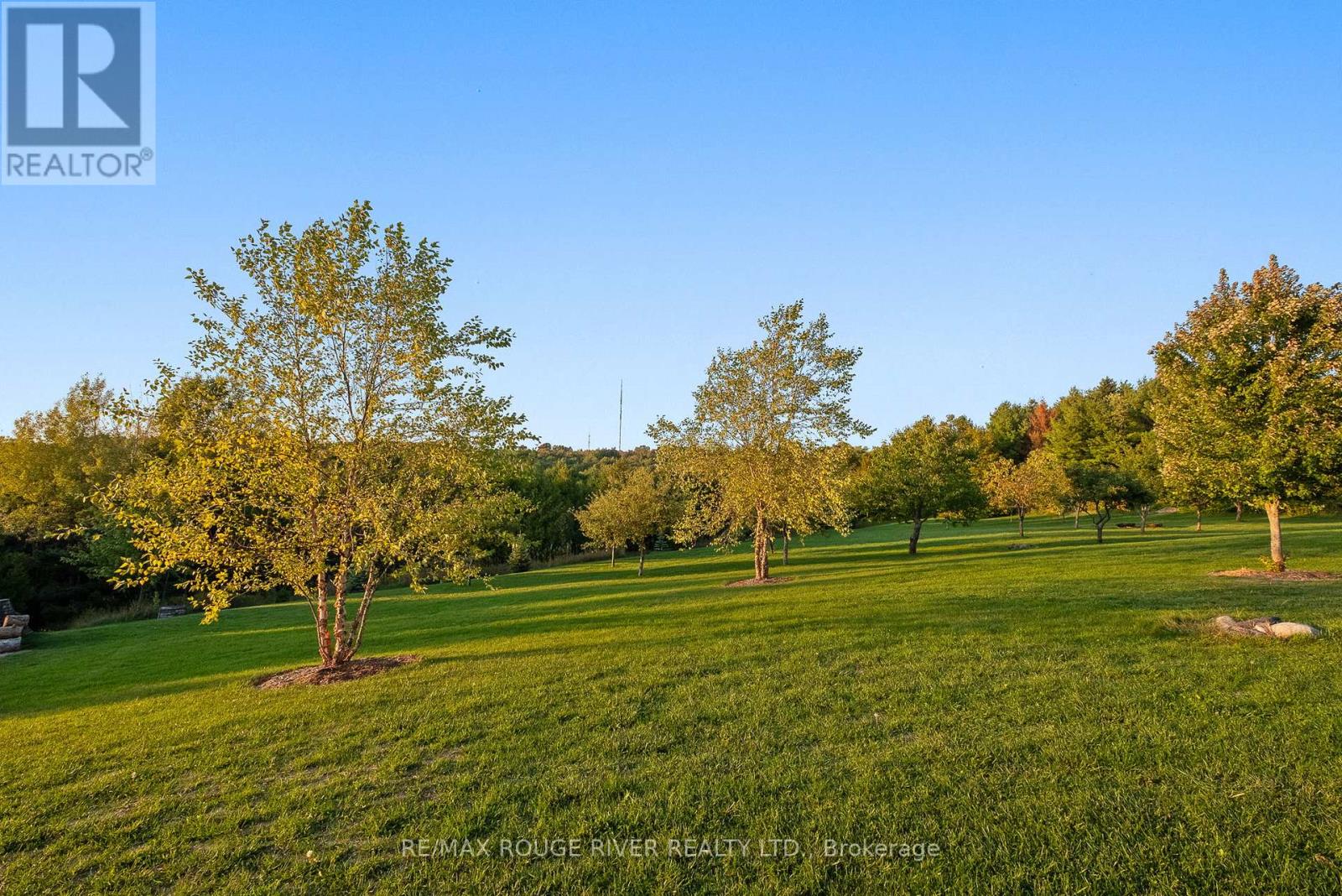 3622 Alnwick Hills Road, Hamilton Township, Ontario  K0K 1C0 - Photo 8 - X12708332