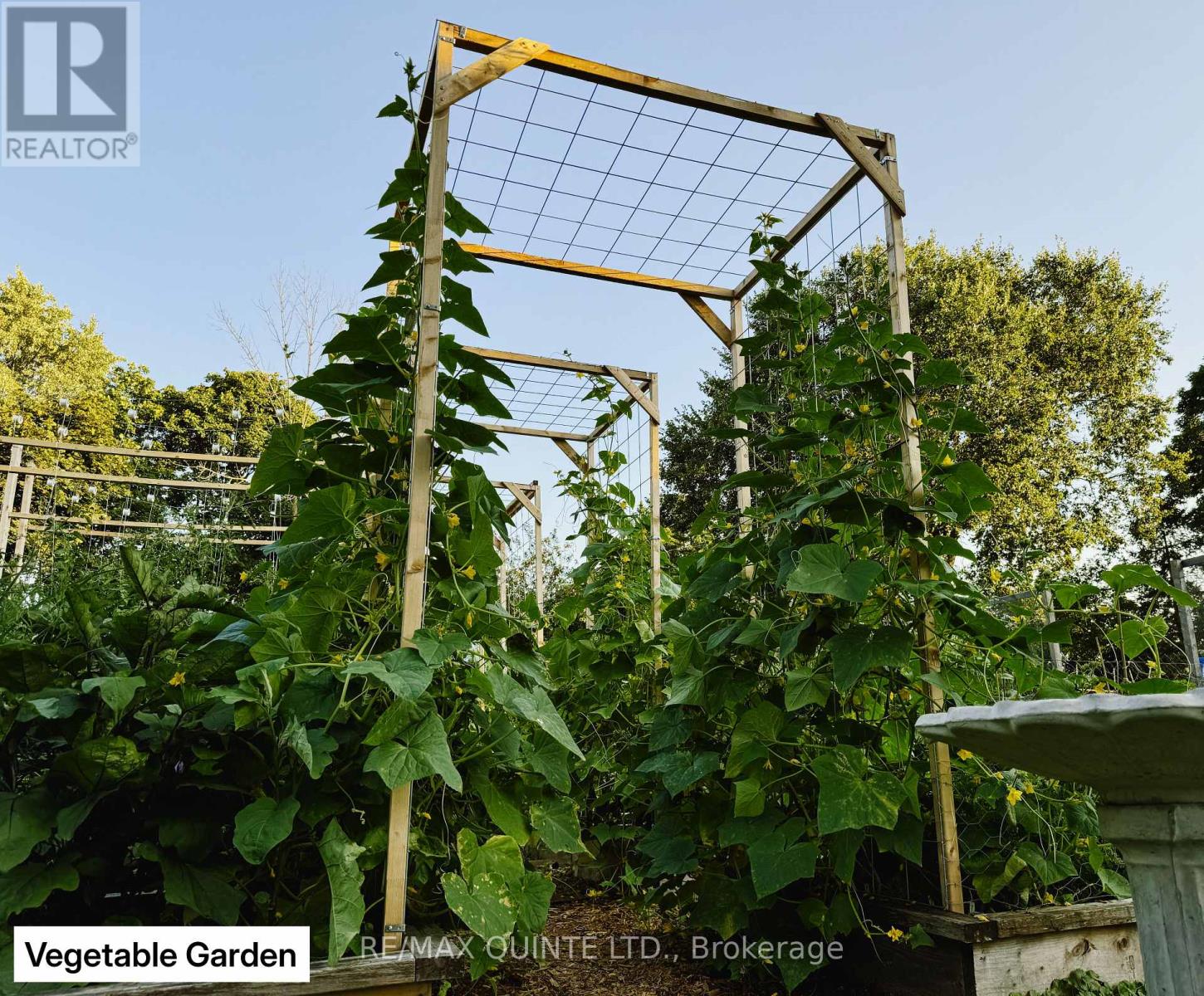 9 Wilkins Street, Belleville, Ontario  K8P 1P2 - Photo 30 - X12714634