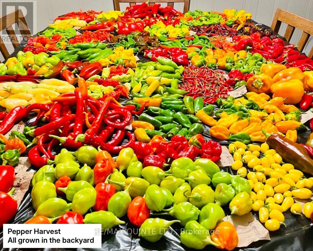 9 Wilkins Street, Belleville, Ontario  K8P 1P2 - Photo 35 - X12714634