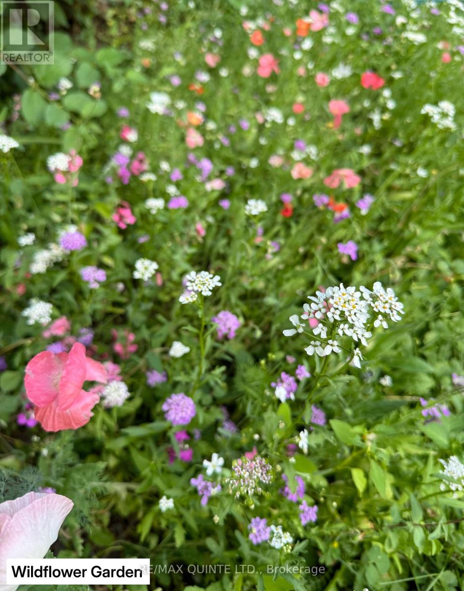 9 Wilkins Street, Belleville, Ontario  K8P 1P2 - Photo 38 - X12714634