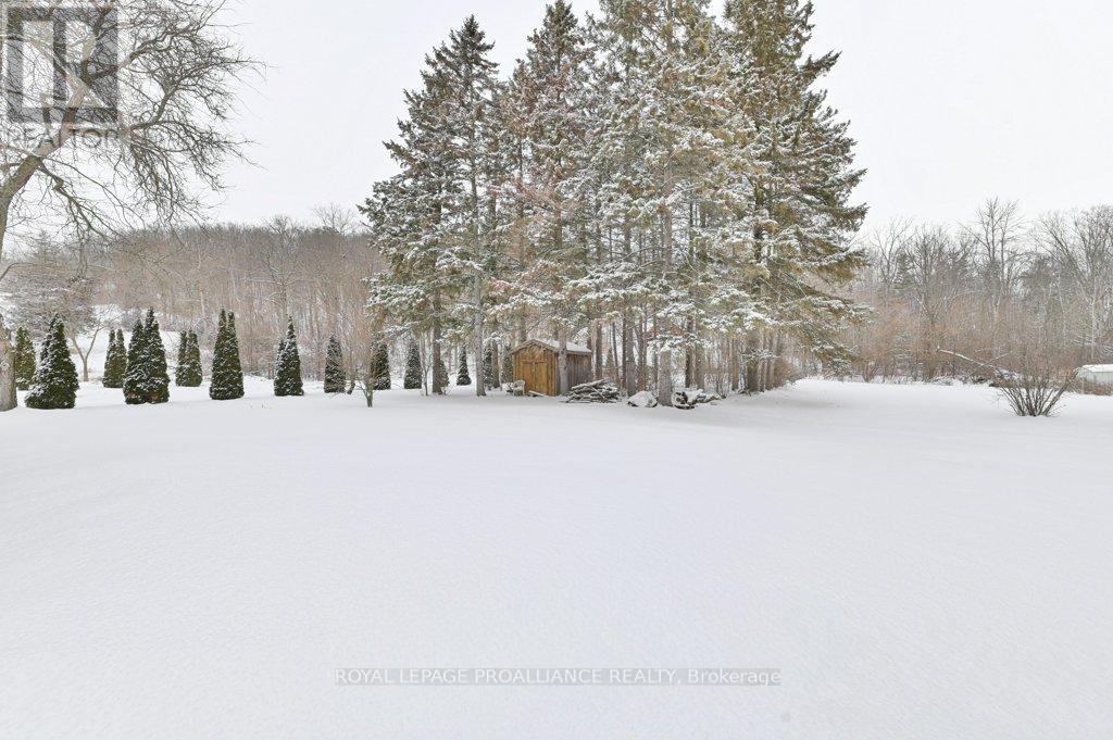 556 Rosebush Road, Quinte West, Ontario  K0K 2C0 - Photo 28 - X12716636