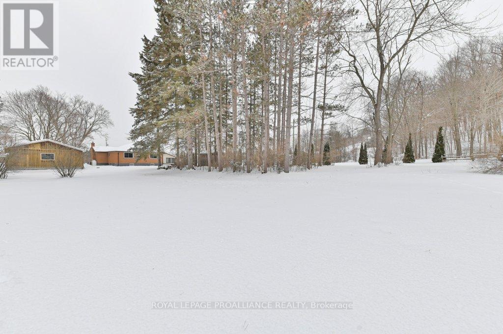 556 Rosebush Road, Quinte West, Ontario  K0K 2C0 - Photo 33 - X12716636