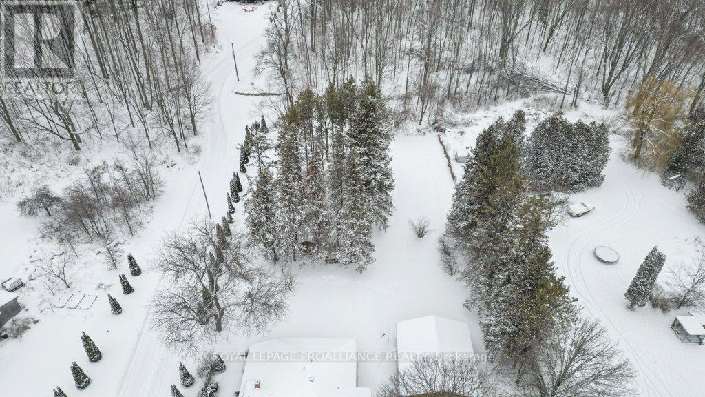 556 Rosebush Road, Quinte West, Ontario  K0K 2C0 - Photo 38 - X12716636