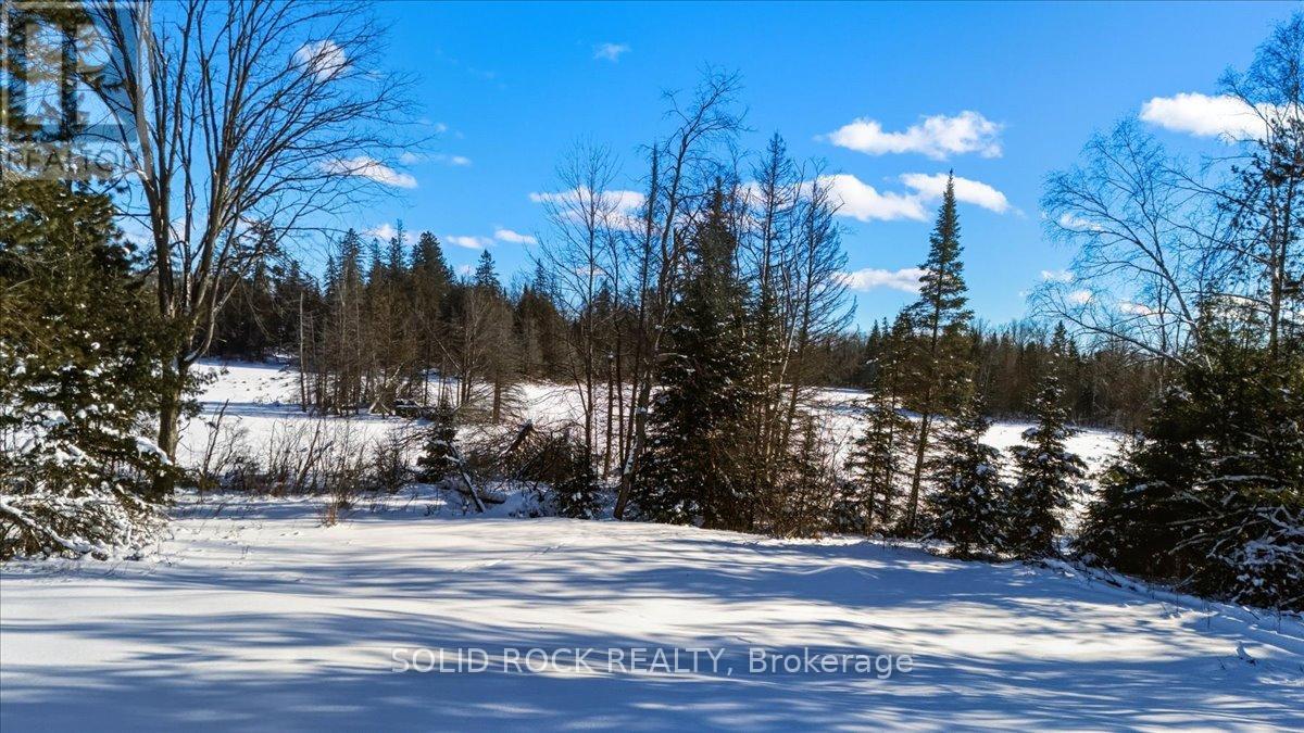 1802 Centre Line Road, Marmora And Lake, Ontario  K0K 2M0 - Photo 42 - X12720840