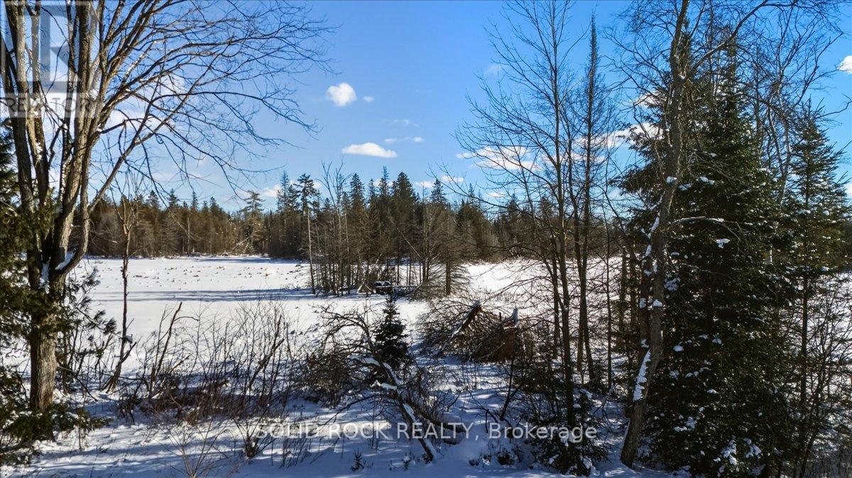 1802 Centre Line Road, Marmora And Lake, Ontario  K0K 2M0 - Photo 43 - X12720840