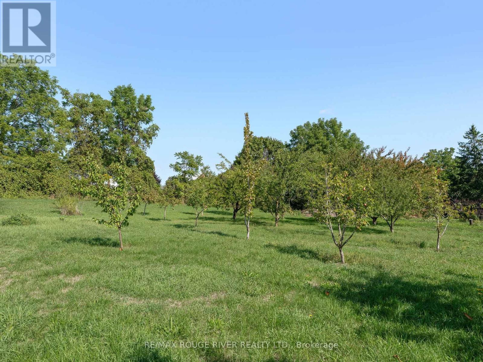 120 Spring Street, Alnwick/haldimand, Ontario  K0K 1S0 - Photo 38 - X12724278