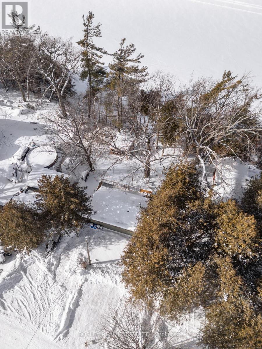 6812 Shearer Point Road, Alnwick/haldimand, Ontario  K0K 2X0 - Photo 39 - X12742070