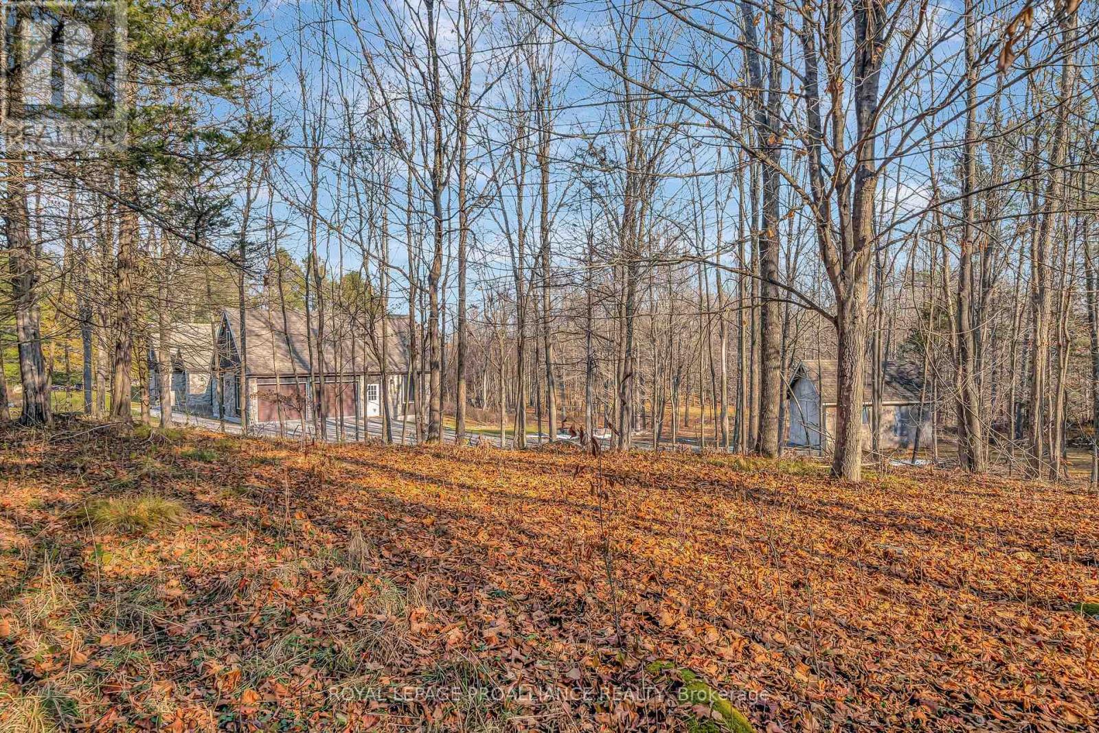 510 Moneymore Road, Tweed, Ontario  K0K 2Y0 - Photo 44 - X12742482