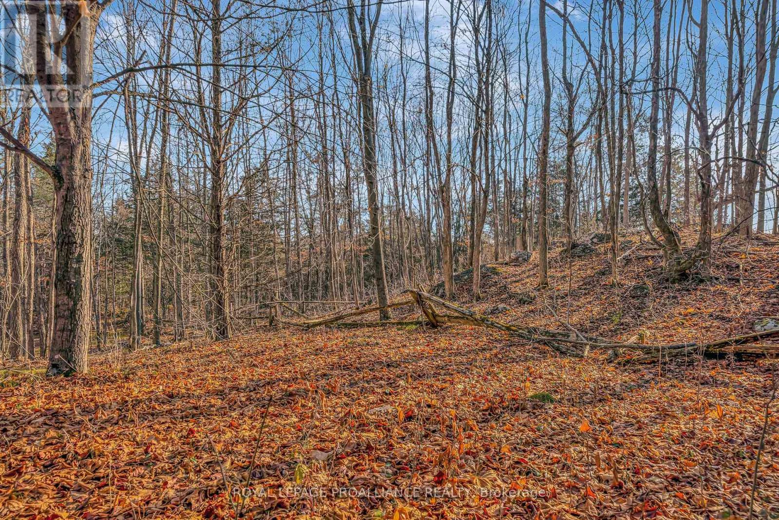 510 Moneymore Road, Tweed, Ontario  K0K 2Y0 - Photo 45 - X12742482