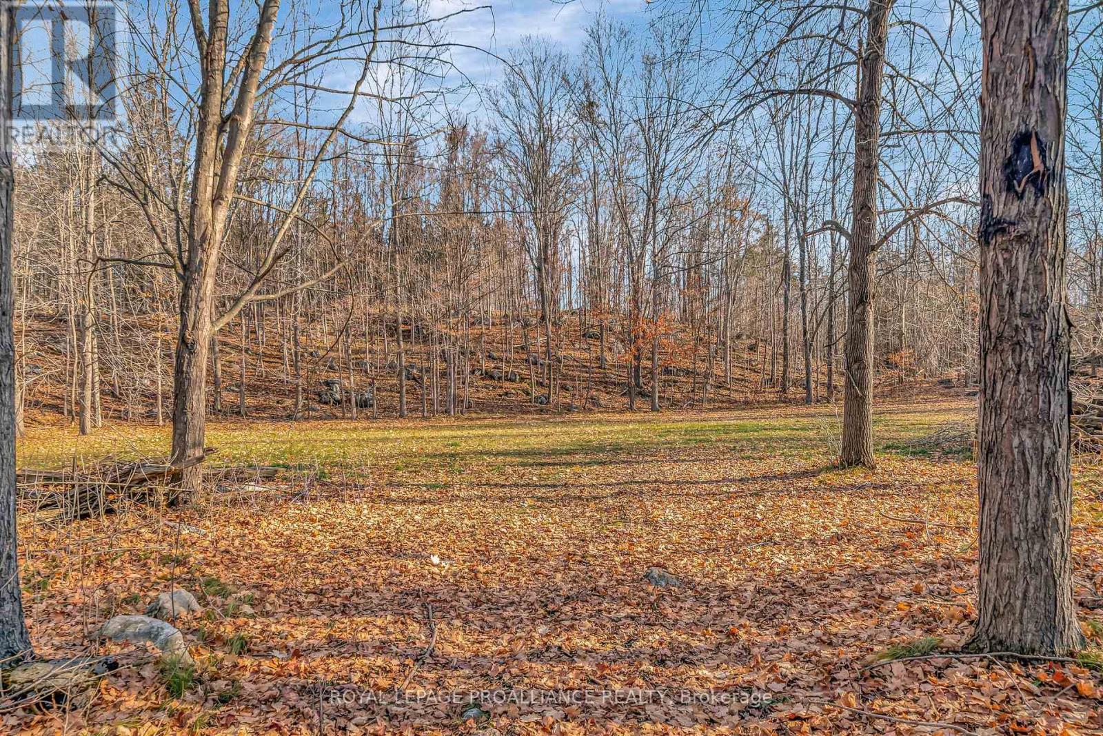 510 Moneymore Road, Tweed, Ontario  K0K 2Y0 - Photo 46 - X12742482