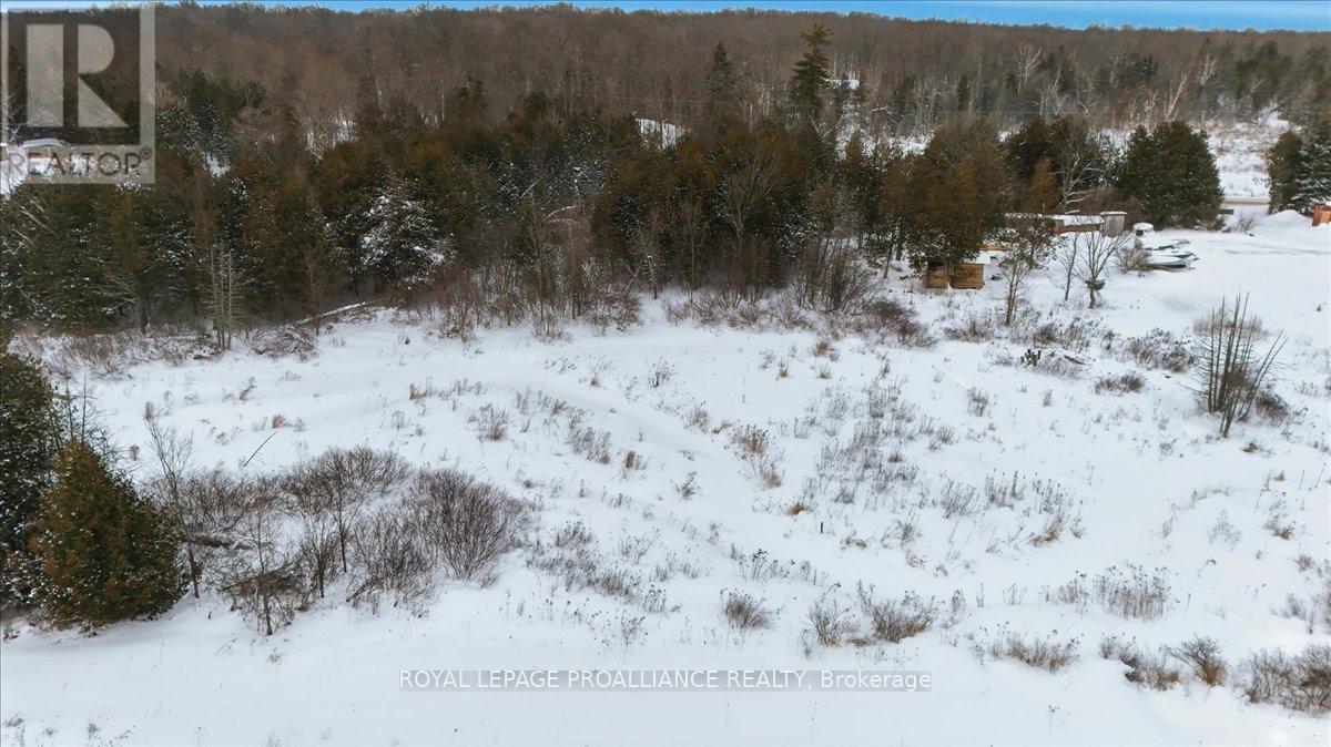 1442 Quin Mo Lac Road, Tweed, Ontario  K0K 3J0 - Photo 43 - X12742682