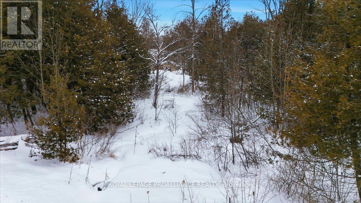 1442 Quin Mo Lac Road, Tweed, Ontario  K0K 3J0 - Photo 48 - X12742682