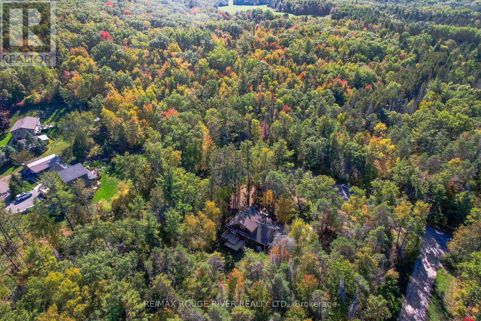 377 Clarkson Road, Cramahe, Ontario  K0K 1M0 - Photo 46 - X12754438