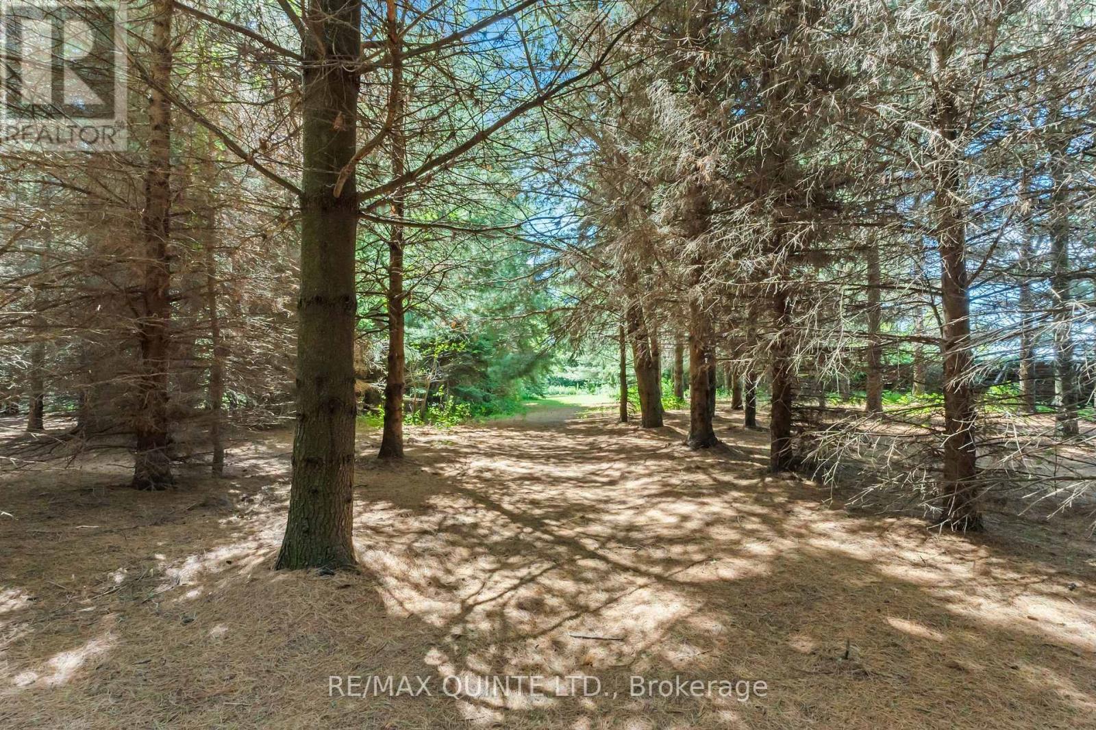 839 County 64 Road, Brighton, Ontario  K0K 1H0 - Photo 34 - X12760524