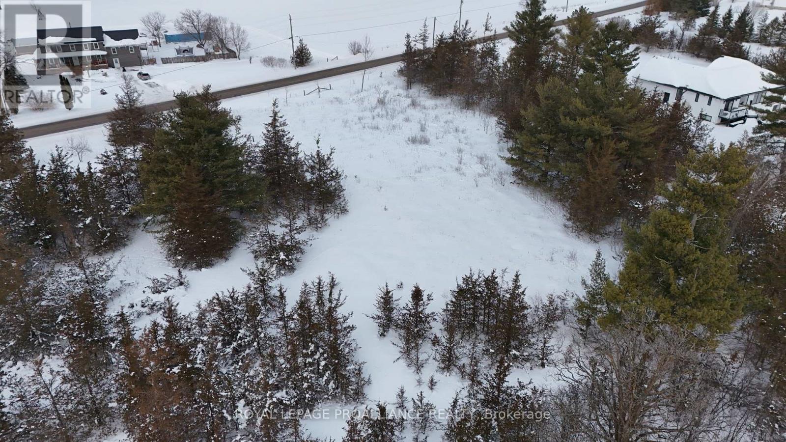 102 Dewey Road, Stone Mills, Ontario  K0K 3N0 - Photo 12 - X12766456