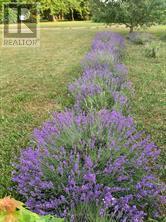 326 Cressy Bayside Road, Prince Edward County, Ontario  K0K 2T0 - Photo 46 - X12770718