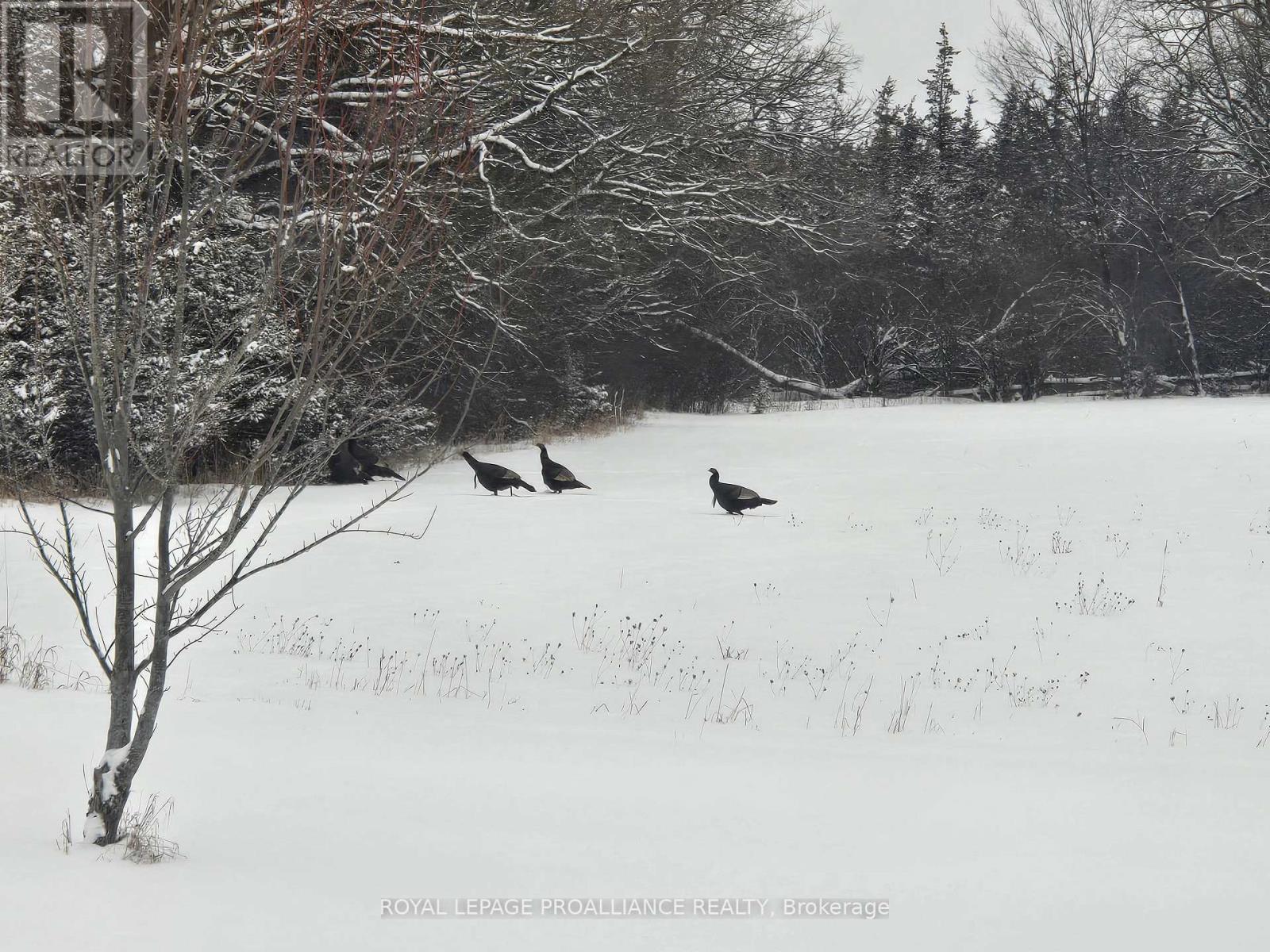 118 Hubbs Road, Prince Edward County, Ontario  K0K 1A0 - Photo 22 - X12774598