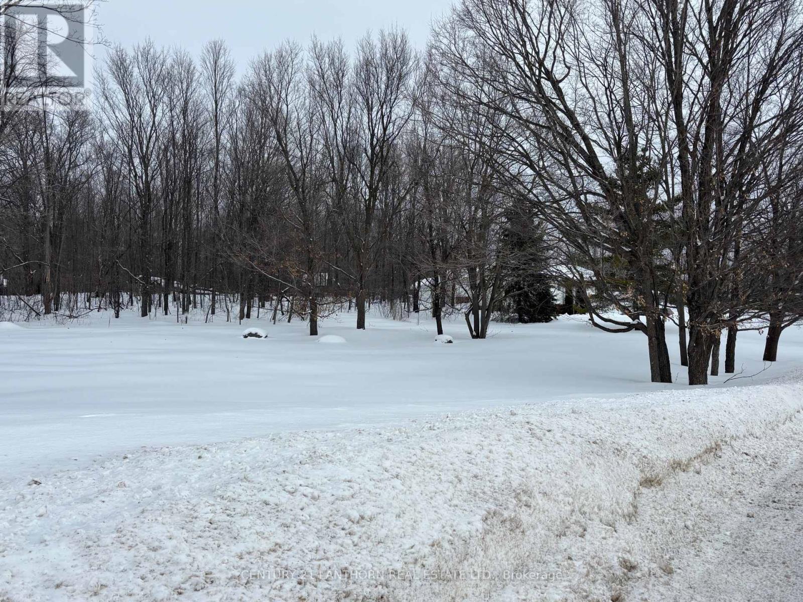 93 Tannery Road, Madoc, Ontario  K0K 2K0 - Photo 45 - X12786930