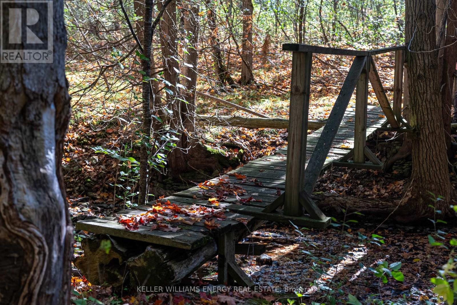 108 Dutch Road, Prince Edward County, Ontario  K0K 1T0 - Photo 43 - X12802036