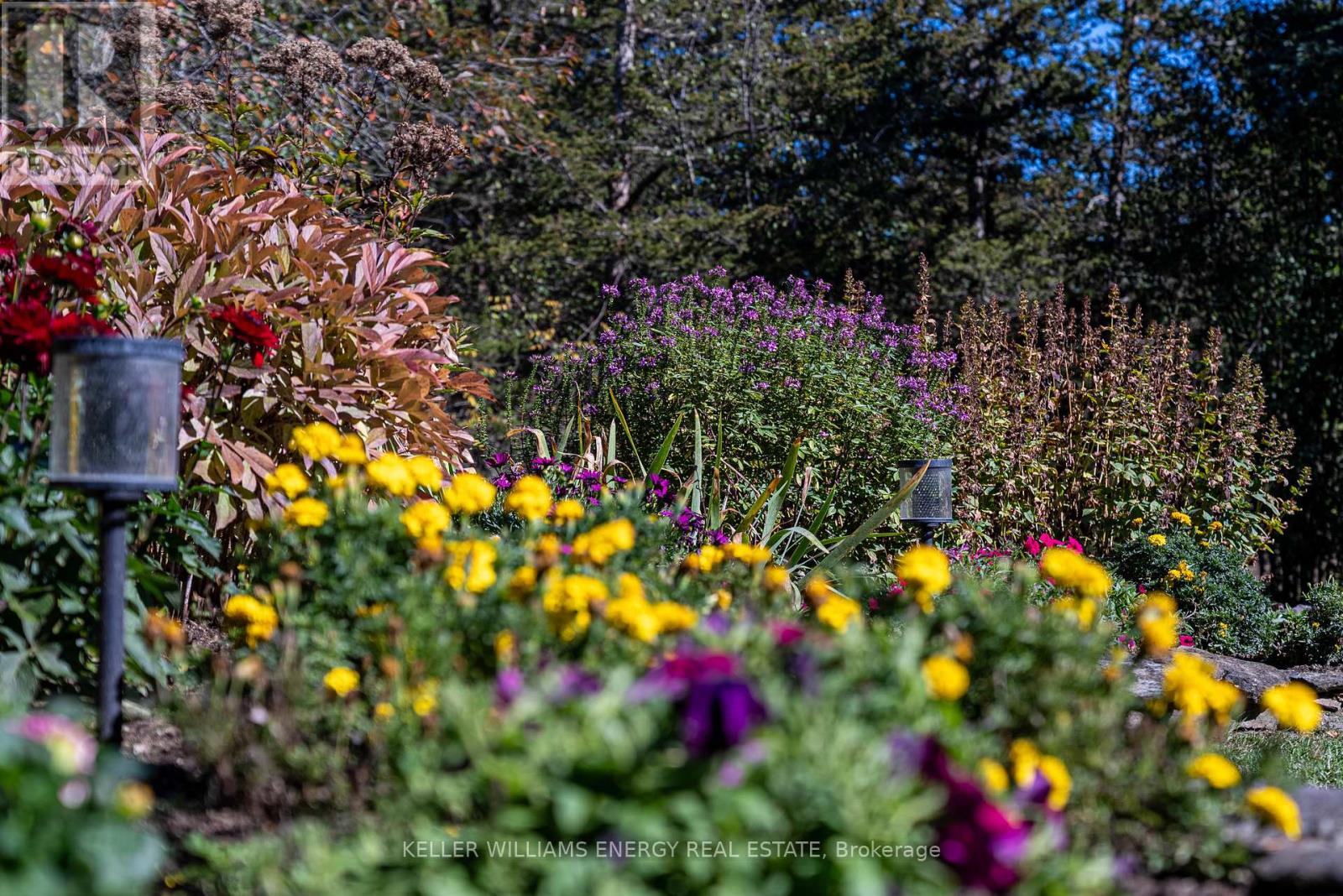 108 Dutch Road, Prince Edward County, Ontario  K0K 1T0 - Photo 46 - X12802036