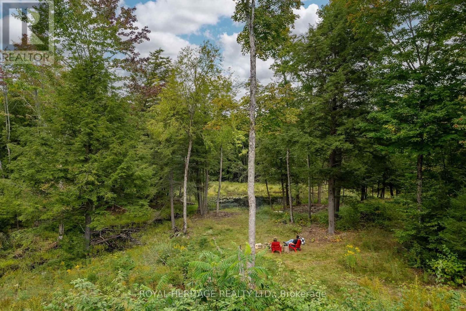 20195 62 Highway, Tudor And Cashel, Ontario  K0K 1Y0 - Photo 35 - X12809250