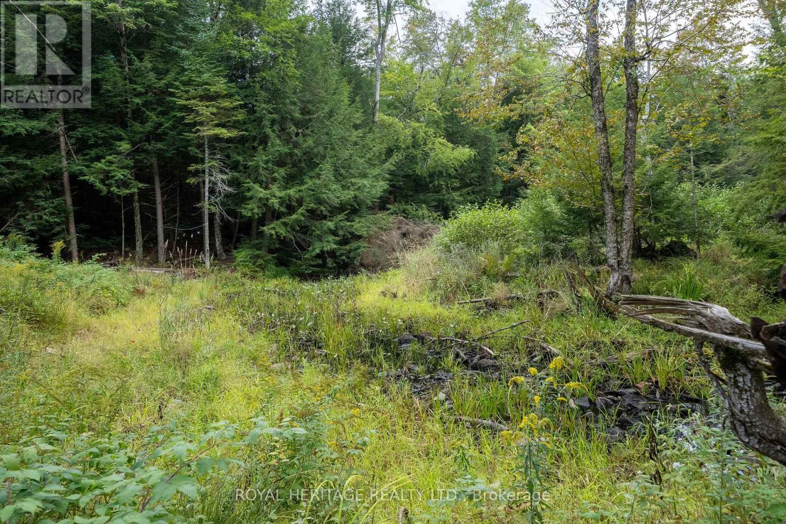 20195 62 Highway, Tudor And Cashel, Ontario  K0K 1Y0 - Photo 40 - X12809250